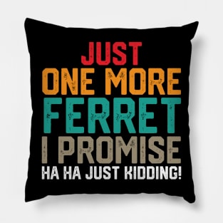 just one more ferret i promise ha ha just kidding ! Pillow