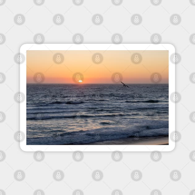 Nautical sunset at the Beach with a Seagull Magnet by SafariByMarisa