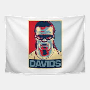 Davids Tapestry