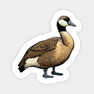 Hawaiian Nene Goose Native Bird Magnet