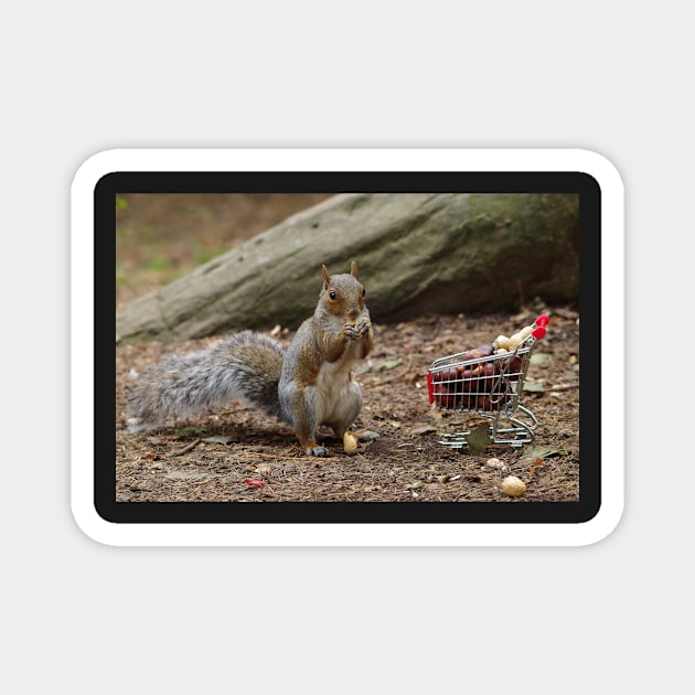 squirrel with shopping cart Magnet by Simon-dell