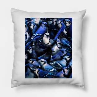 Blue Jay Pillow