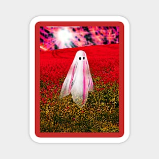 Ghost in the Field Magnet