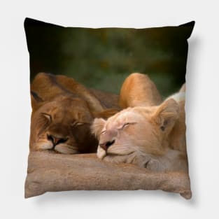 Sleeping lions Pillow