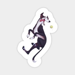 Greyhound – pink background Magnet