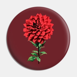 One Red Dahlia Pin