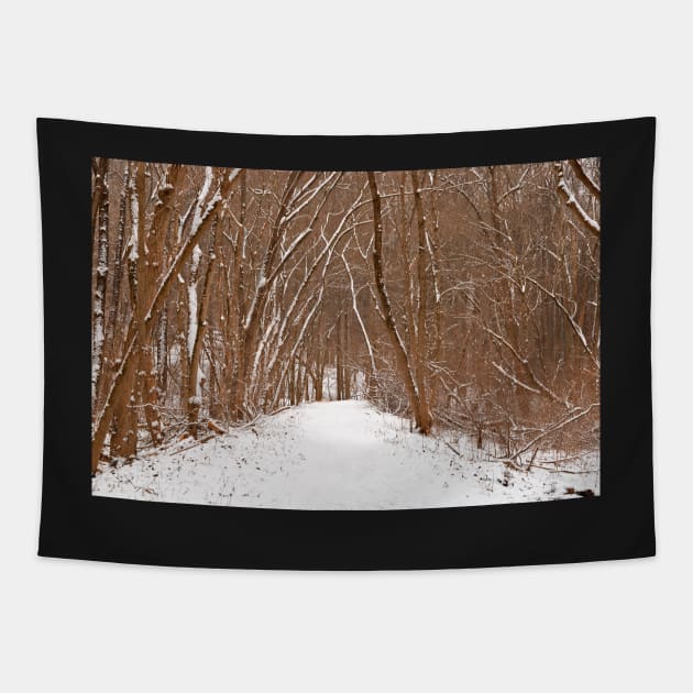 Winter Forest Tipi Trail Tapestry by somadjinn