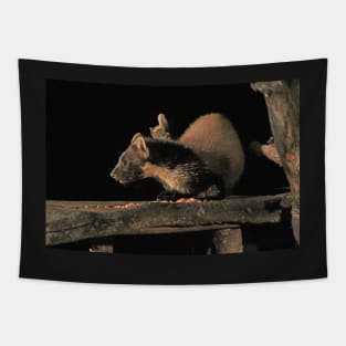 Pine marten Tapestry