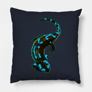 Salamander Electro Blue Pillow