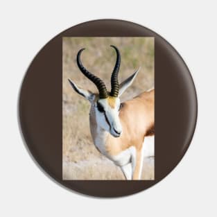 Springbok. Pin