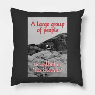 ew people Pillow