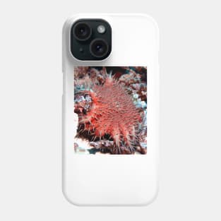 Crown of Thorns Starfish Phone Case