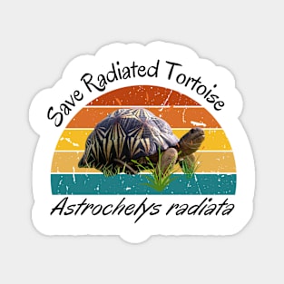 radiated tortoise (Astrochelys radiata) Magnet