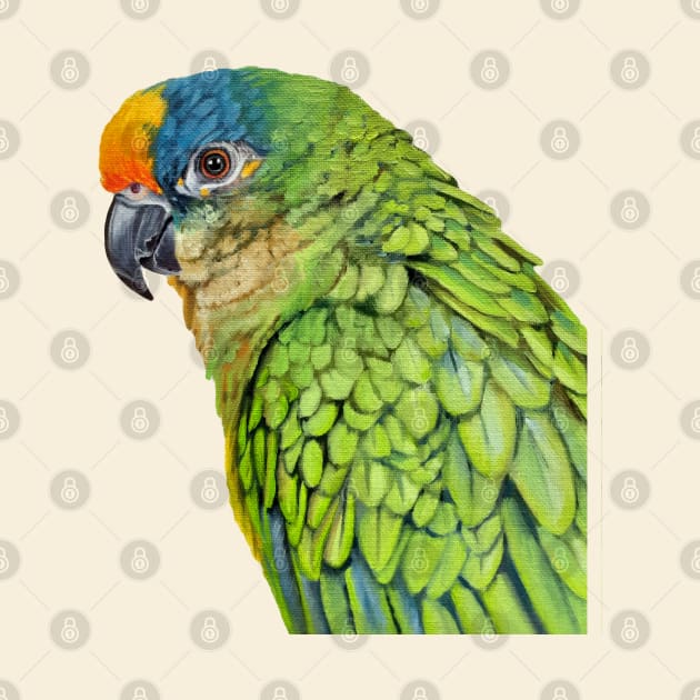 Amazon Parrot bird painting (no background) by EmilyBickell