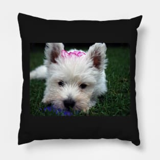 Westie puppy Pillow