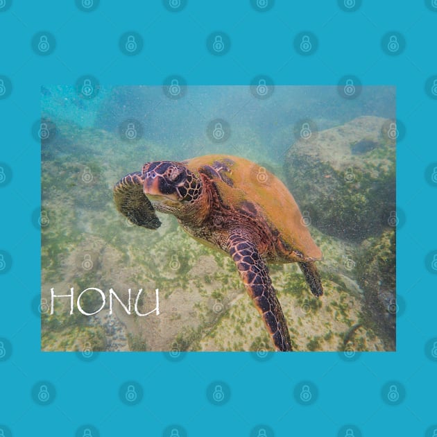 Honu-2 by Toadman's Tank Pictures Shop