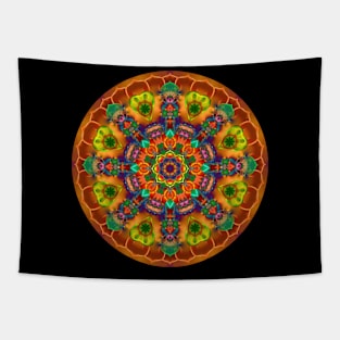 Mandala Magic - Daily Focus 2.10.2024 Tapestry