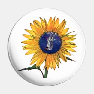 Sunny Space Cowboy Pin