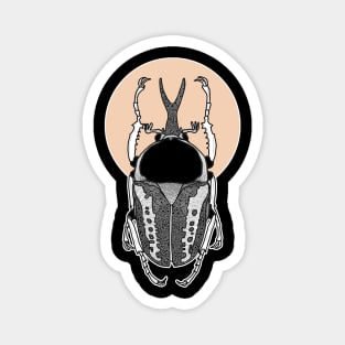 Beetle Magnet