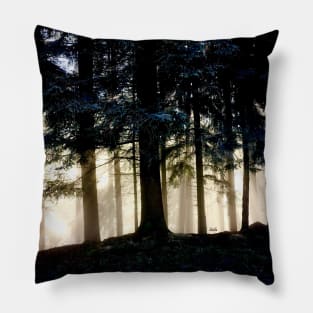 Sun rays tree trunks / Swiss Artwork Photography Pillow