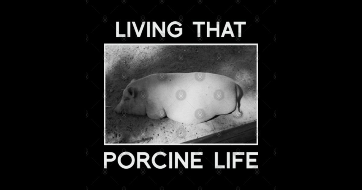 fat lazy pig Fat Lazy Pig Sticker TeePublic