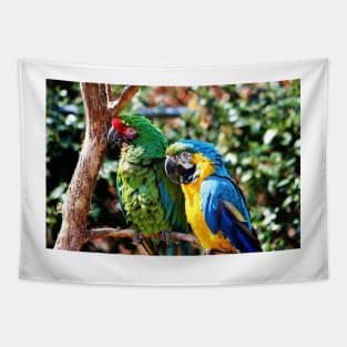 Macaw Parrots Tapestry