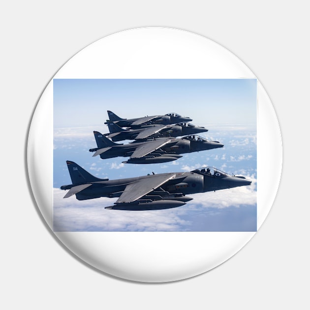 Harrier Quartet Pin by captureasecond