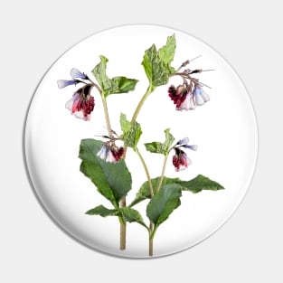 Comfrey Flower. Pin