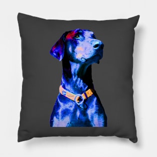 Doberman Pillow