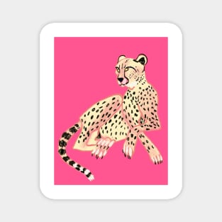 Leopard cheetah on pink Magnet