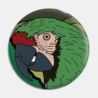 Guacamaya Pin