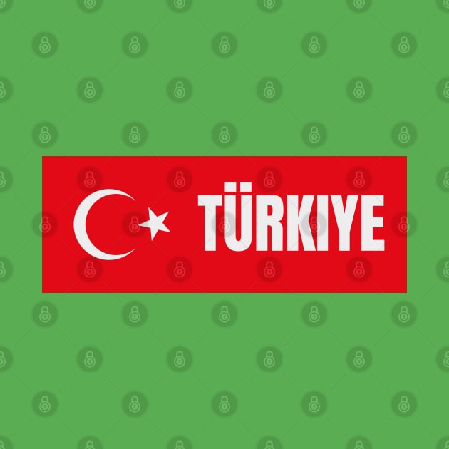 Türkiye in Turkish Flag by aybe7elf