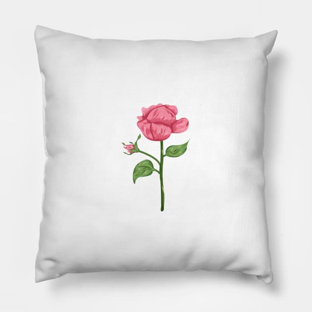 Pink Rose Plant  Botanical Pillow by Salfiart