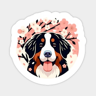 Bernese Mountain Dog Embraces Spring Cherry Blossoms Delight Magnet