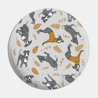 Italian Greyhound Puppies Pin