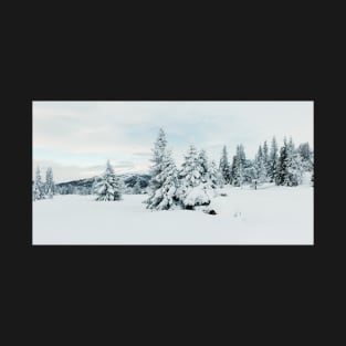 Snow-Covered Fir Trees in Frozen Winter Landscape in Scandinavia T-Shirt