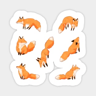 Cute foxes pattern Magnet