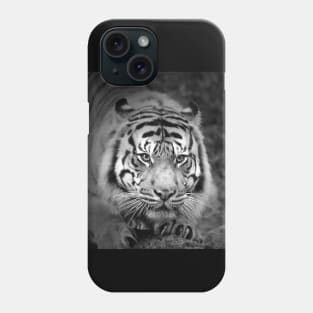 Ready To Pounce 2 Phone Case