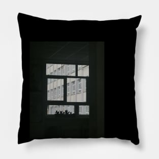 Windows Pillow