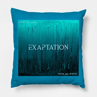 We're All Wrong - Exaptation Artwork Pillow