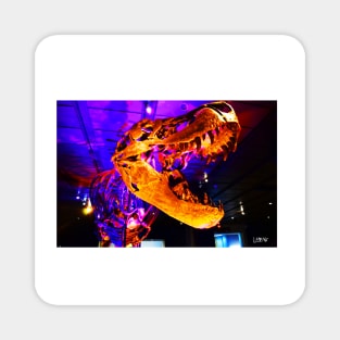 the mighty t rex dinosaur photograph Magnet