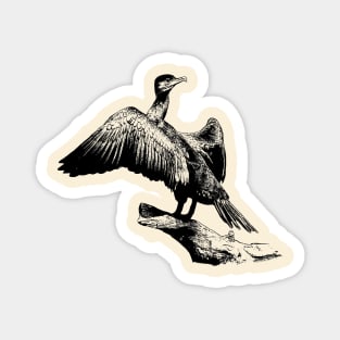 Cormorant Magnet
