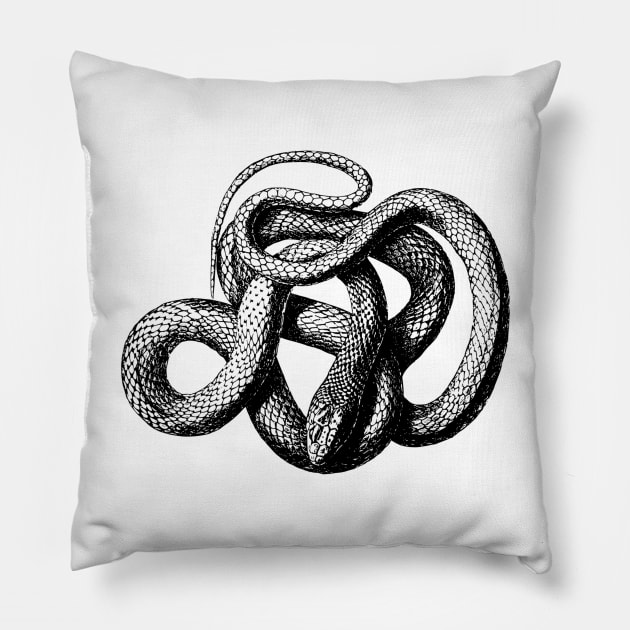 snake Pillow by carobaro