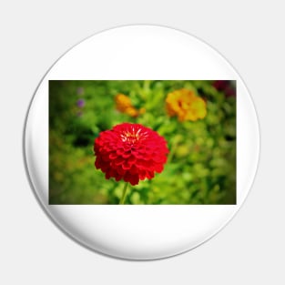 Red Zinnia Pin