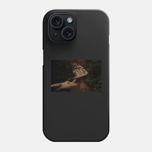 RHEADYR ERYRI Phone Case