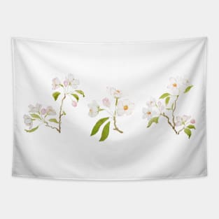 3 white cherry blossom branches Tapestry