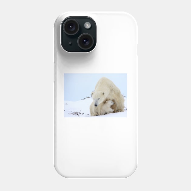 Mother plar bear watching over potential hazards Phone Case by mjoncheres