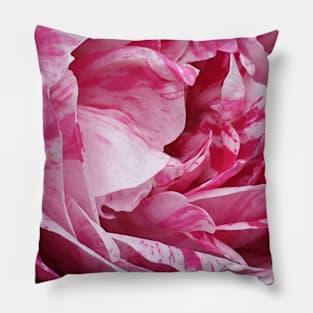 Pink Rose Pillow