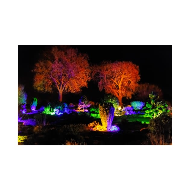 Wisley Christmas Glow by GrahamPrentice