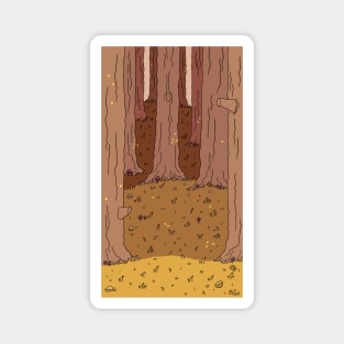 Woods (Afternoon) Magnet